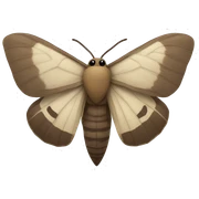 moth sticker