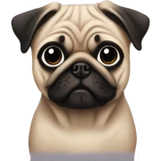Pug with ariana grande sticker
