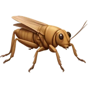 Mole cricket sticker