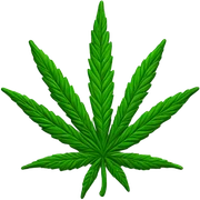 Marijuana leaf sticker