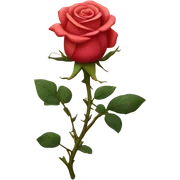 Rose sticker