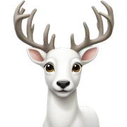 whitedeer sticker