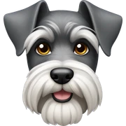 Schnauzer  sticker