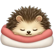 cute-sleep-hedgehog-in-his-bed sticker