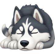 Husky curled up sleeping sticker