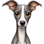 italian greyhound  sticker