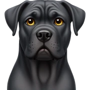 Cane corso sticker