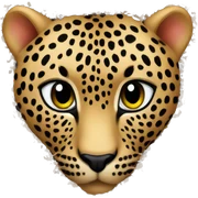 leopard heart sticker