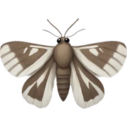 Moth sticker
