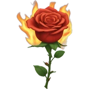 burning rose sticker