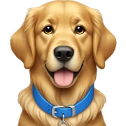 Golden retriever with blue collar sticker