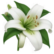 White lily sticker