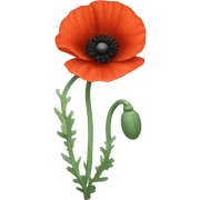 Poppy sticker