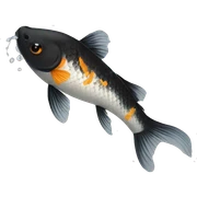 BLACK KOI sticker