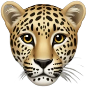 leopard sticker