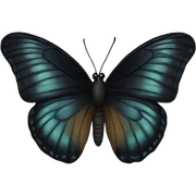 Black Butterfly  sticker