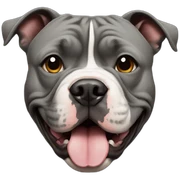 american bully sticker