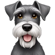 Miniature Schnauzer sticker