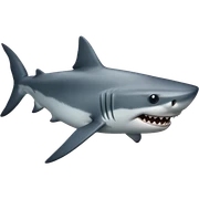 Shark sticker