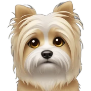 Sad morkie 💧💧 sticker