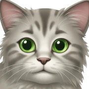 cat
 sticker