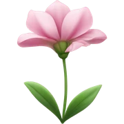 pink  sticker
