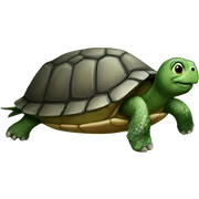turtle sticker