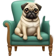 Pug sitting in chair  sticker