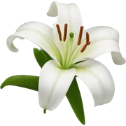 lily sticker