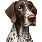German shorthair pointer sticker