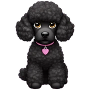 Poodle black sticker
