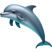 dolphin sticker