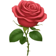 roses sticker