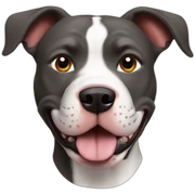 perro pitbull barsino sticker