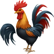 Rooster  sticker