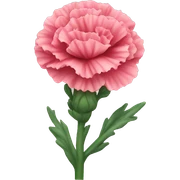 carnation sticker