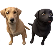cute dog in nature sticker