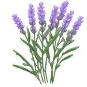 Lavender sticker