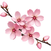 Cherry blossom  sticker