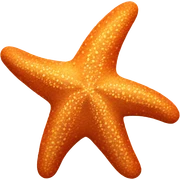 Starfish sticker