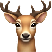 Aesthetic deer  sticker
