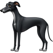 Black Greyhound sticker
