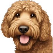  brown golden doodle sticker