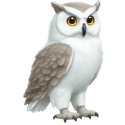 Polar Owl sticker