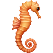 sea horse sticker