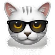 Cat with sunglasses sticker