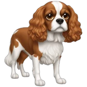 Cavalier sticker