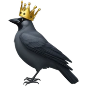 jackdaw with crown sticker