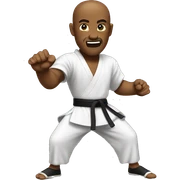 Kung fu sticker