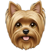 Yorki sticker